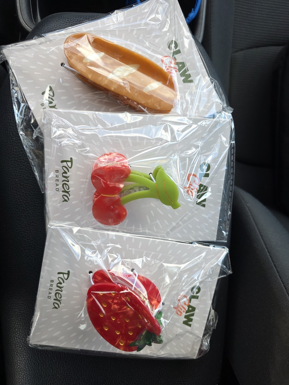 Panera Hair Clip Set